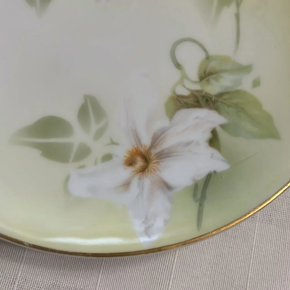 Antique delicate white floral design on porcelain plates RS Tillowitz Germany